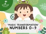 Magic Transformation Series: Numbers