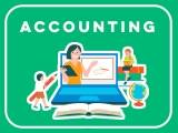 IGCSE Accounting (0452)